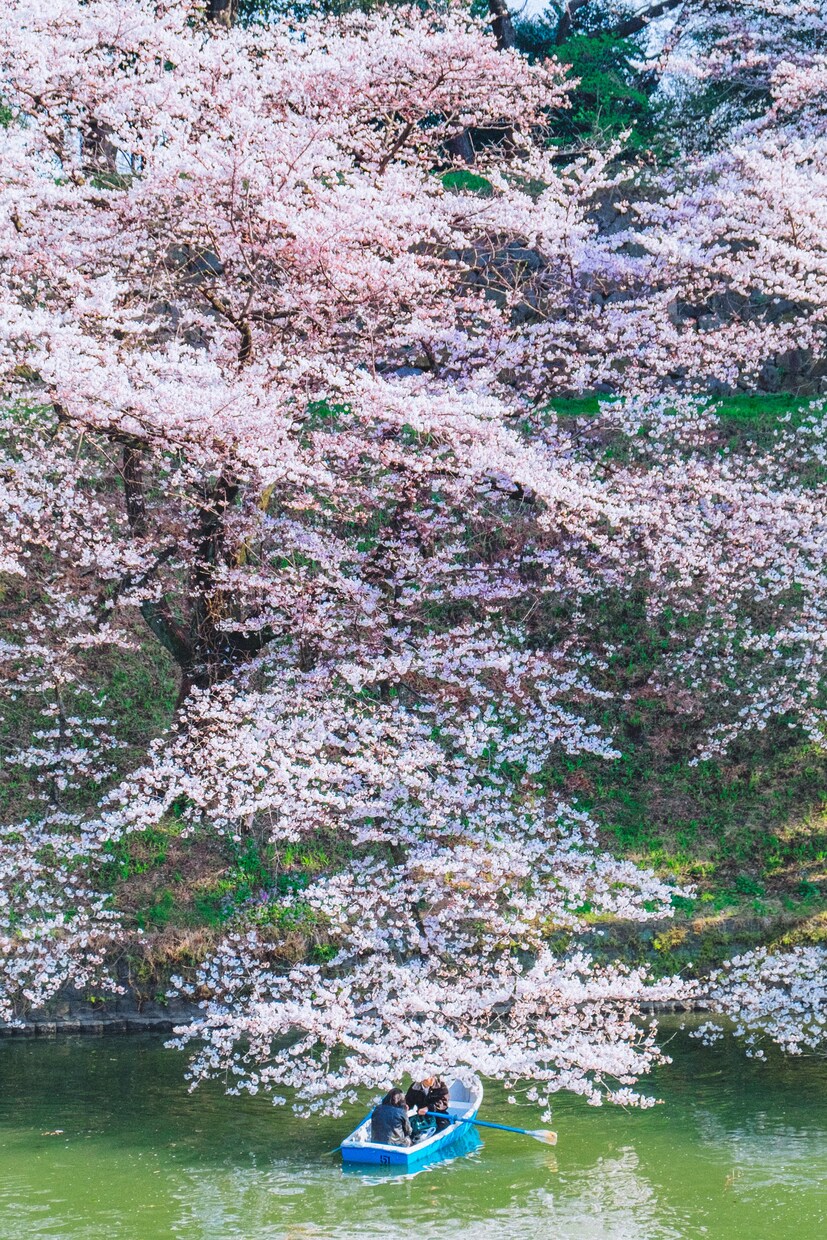 SNS映えする風景・建築写真の撮影代行をします 国内外のフォトコンテスト入賞歴のある写真家が撮影いたします。 イメージ10