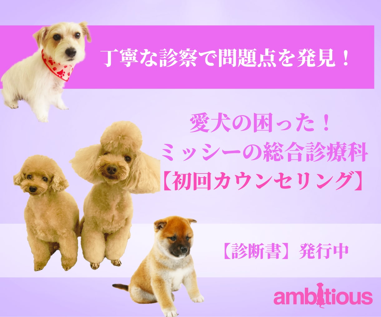 愛犬の困った！ミッシーの総合診療科で解決目指します 新規の相談者向け／【診断書】発行致します イメージ1