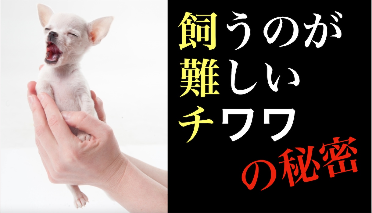 手直し何度でも無料YouTubeサムネイル作ります 最安値！効果的なサムネイル2枚を1,000円で！ イメージ9