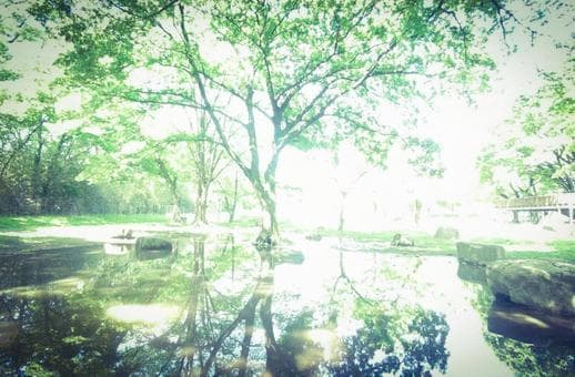 子宝に恵まれる時期を具体的にお伝えします あなたへ授かるご縁の時期を「○年△月」までお伝えします イメージ3