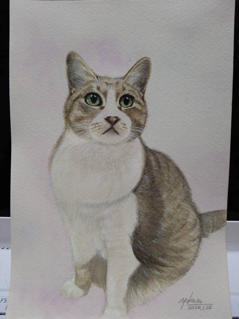猫ちゃん専門！リアル手描き水彩の肖像画ですます 渾身丁寧に描き込む透明水彩画による唯一の原画をお届けします イメージ5