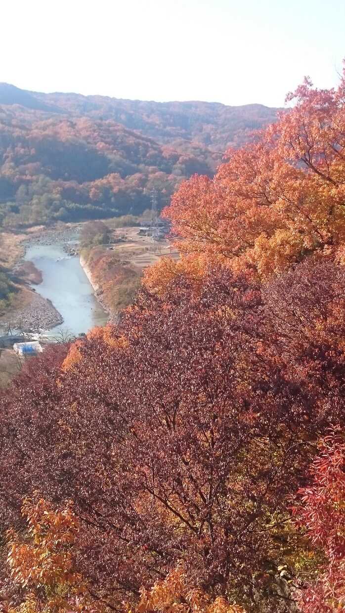 素材用に写真を提供します ご意見等ありましたらコメントください イメージ1