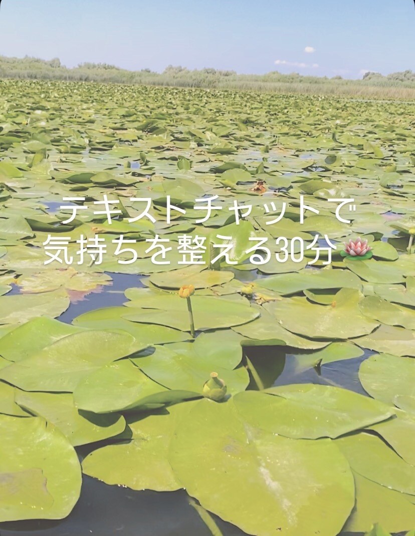 国際恋愛・結婚の悩みをサポートします 国際恋愛・結婚の悩みをやさしく整理するチャット相談 イメージ3