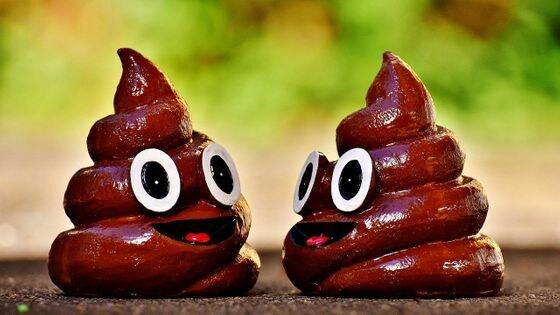 画像の背景を除去します 画像の背景をたった5分！で除去します。 イメージ3