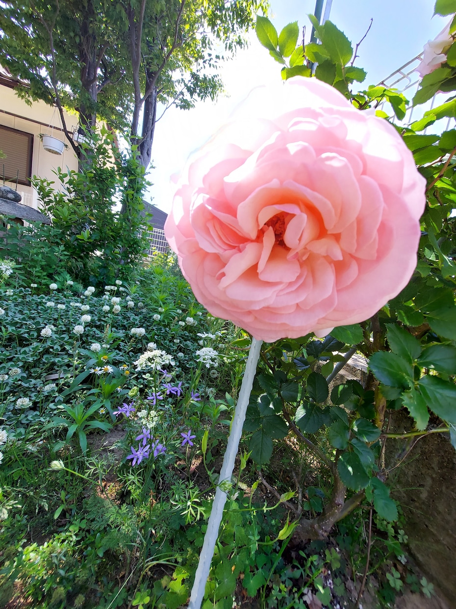 応援します *旦那は失踪、子供は鬱に。学校は不登校*職場でパワハラ イメージ3