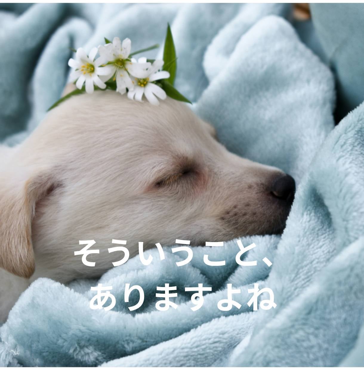自分を責めてしまう方に、優しくじっくり寄り添います 頑張りすぎて壊れる前に、心を休めてみませんか　自分責め/不安 イメージ5