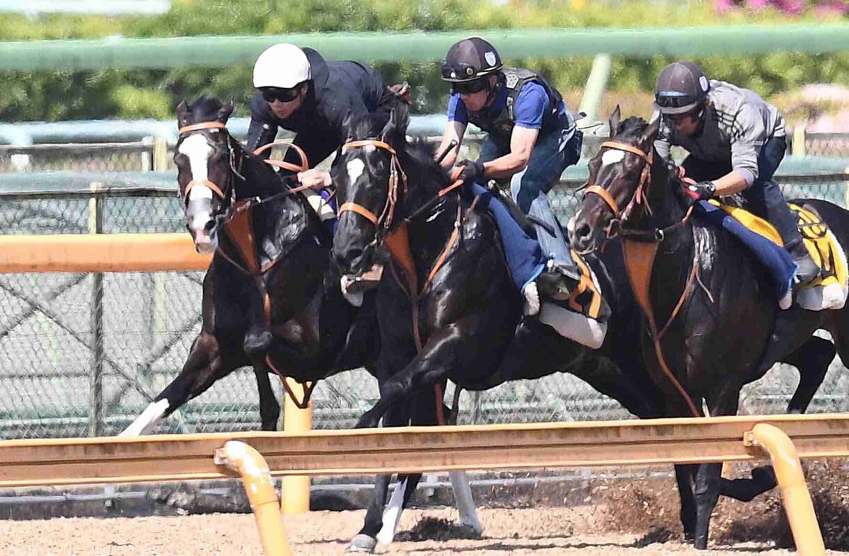 競馬予想！オッズや人気不要！初心者歓迎いたします 週末は穴馬⁂実力馬をあぶりだしてで勝ち組になれる イメージ1
