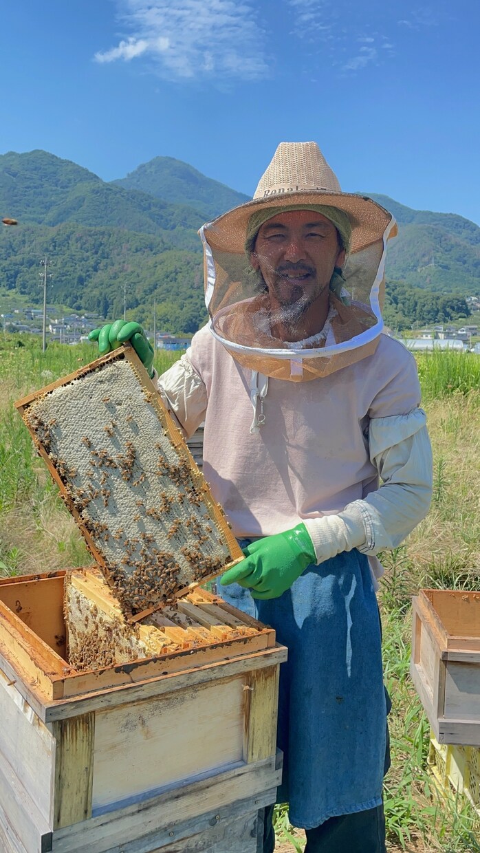 養蜂に挑戦したい！！西洋蜜蜂☆自然養蜂教えます 養蜂の始め方、副業にしたい方、蜜蜂や蜂蜜が好きな方☆ イメージ1