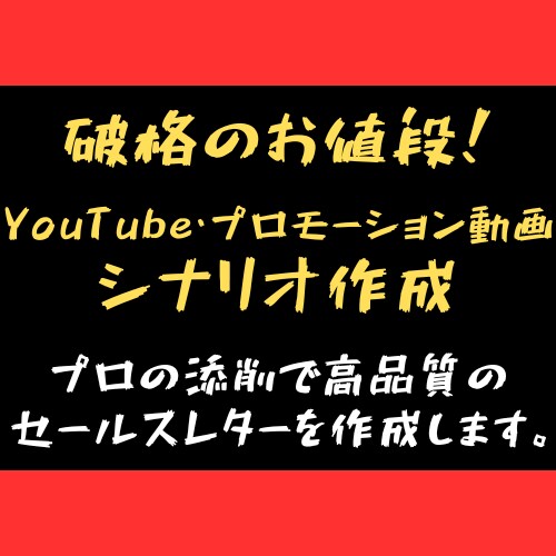 低価格、破格の条件で動画シナリオの作成、承ります プロ講師の添削を受けるから、安くても高品質！ イメージ1
