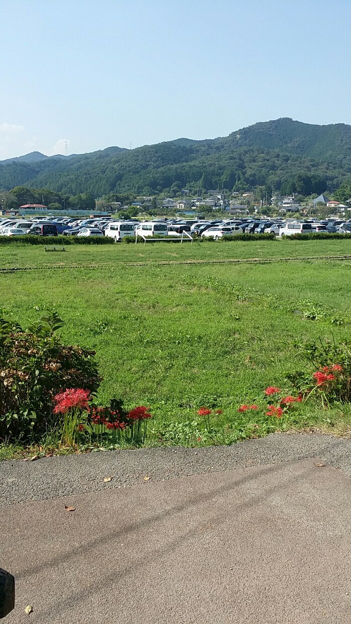 未経験者のIT業界悩み相談受付ます 社員、派遣、フリーランス経験あり。常駐経験多いです。 イメージ1