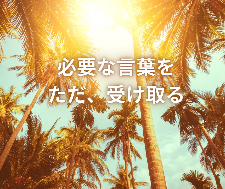 １年後の未来からのメッセージをお届けします ☆問い立ても、お受け取りも自由☆未来の自分を愛しましょう イメージ4