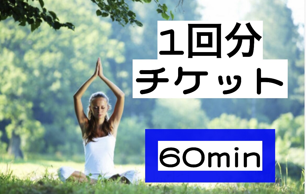 パーソナルレッスン60minをします あたなにあったオリジナルレッスン(60分)をお届けします！ イメージ1