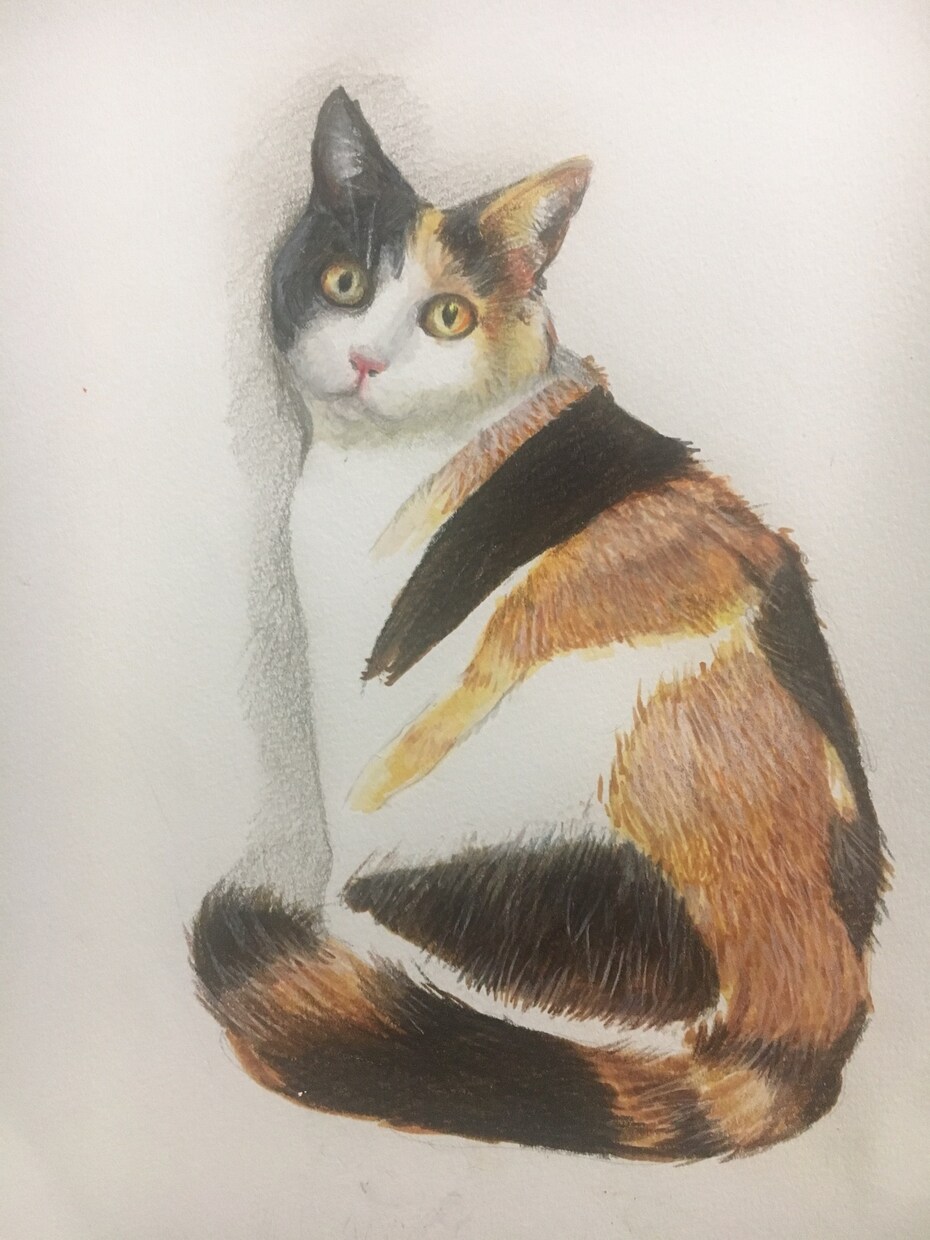 ペットの絵かきます 可愛いく書きます。プレゼントではがきの代わりにいかがですか イメージ1