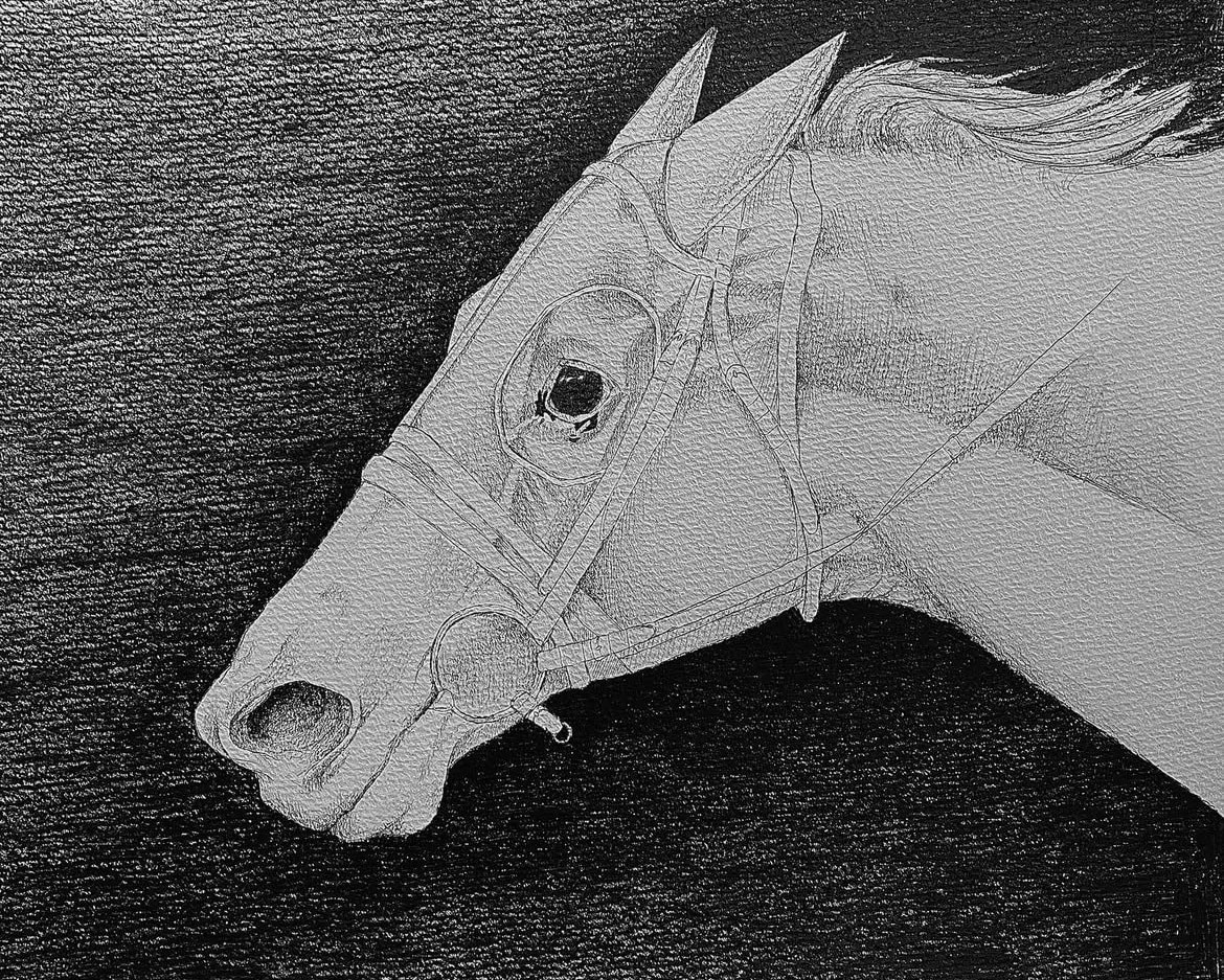 馬の鉛筆モノクロアイコン描きます 写真から制作｜繊細な鉛筆タッチ・モノクロ＋差し色対応 イメージ2