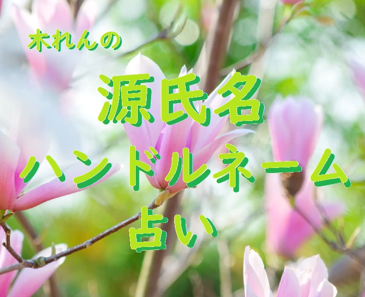 源氏名☘️ハンドルネームの姓名鑑定をします 最大5つまで。画数や響きなど多面的な視点から判断します。 イメージ1