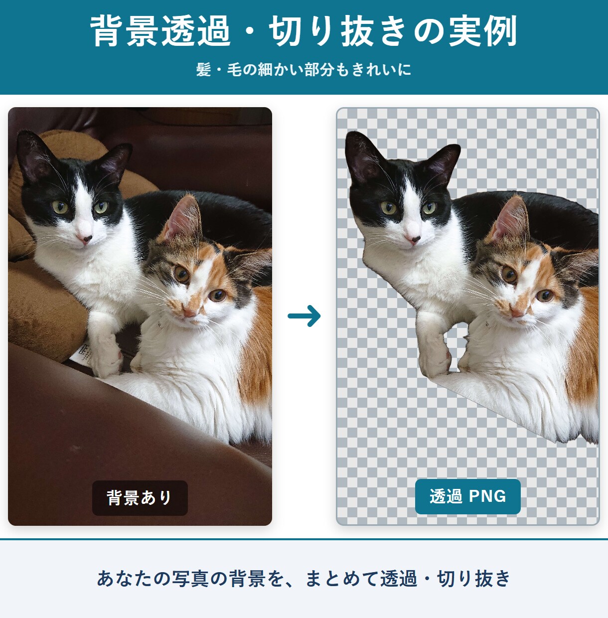 背景透過・切り抜き・一括リサイズ代行します 商品画像の背景透過・サイズ統一を一括。無料サンプル1枚OK イメージ2