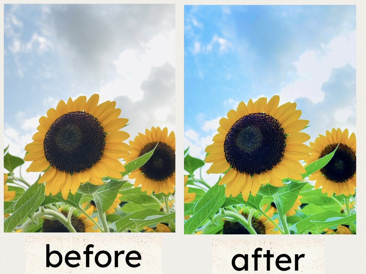 スマホ写真をSNS映えするアートに仕上げます 光と色を引き出すレタッチで、写真を作品に変えます。 イメージ3