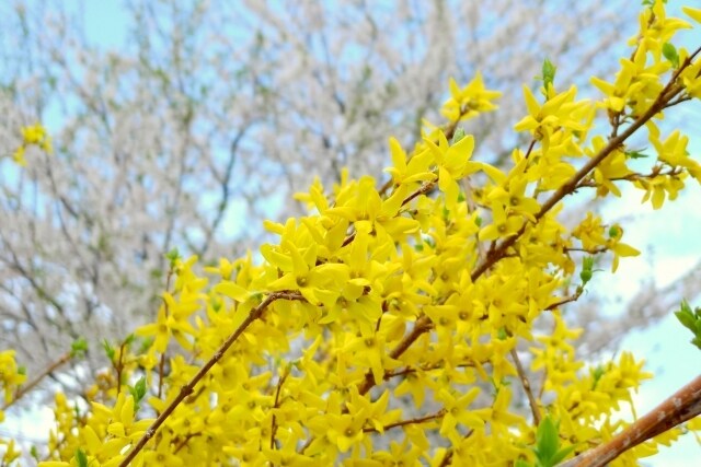 霊感、霊視鑑定いたします 迷い悩まれている方に〜今必要なメッセージをお届けします イメージ1