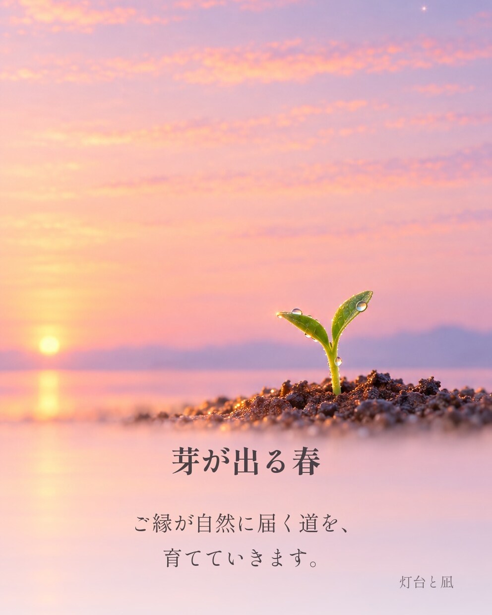 書くことで整う、3時間の安心文字相談をします 話すより書く方が楽な人へ、安心の3時間です イメージ5