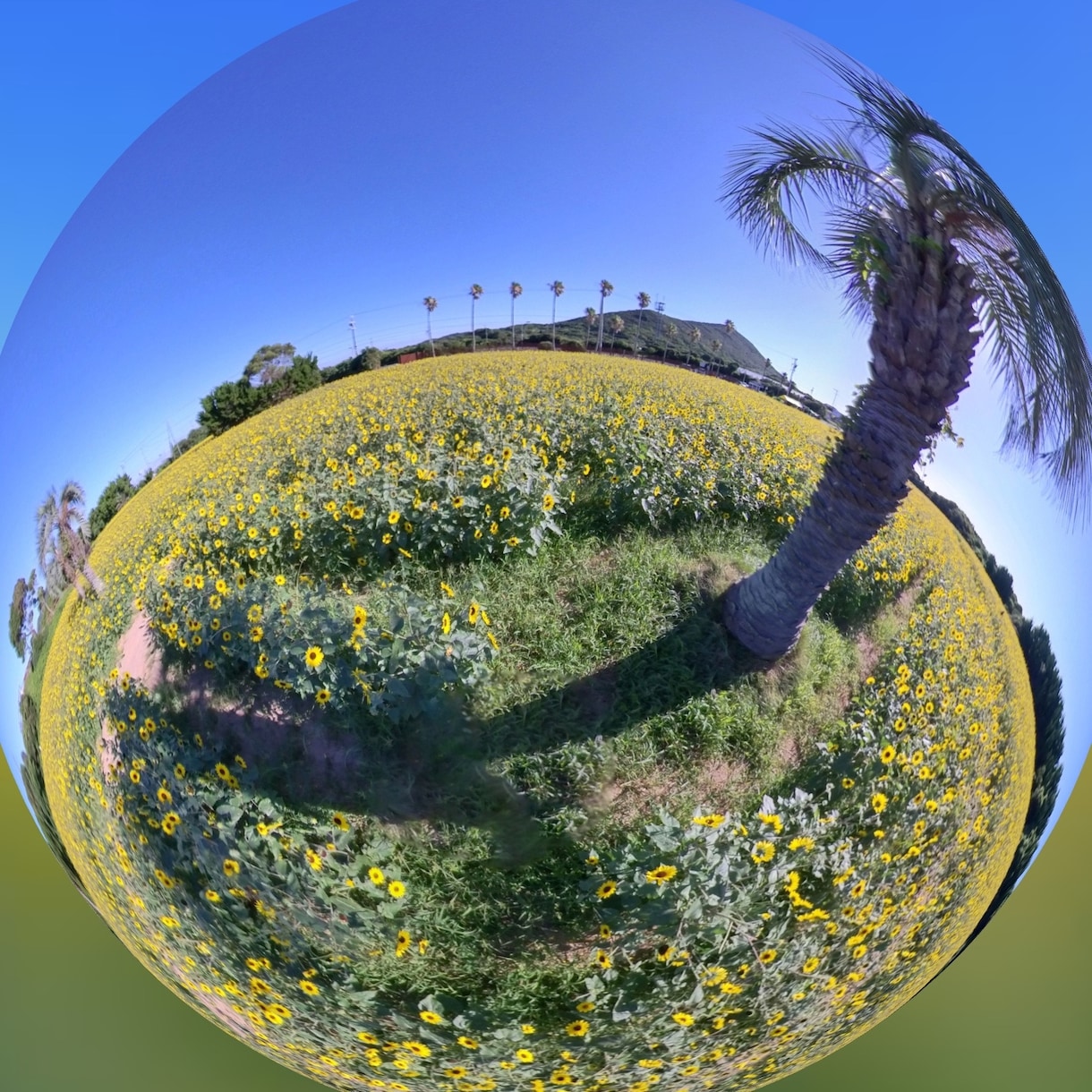 360°カメラで施設を撮影します 店舗の店内や魅力を360°ビューでお届けします！ イメージ2