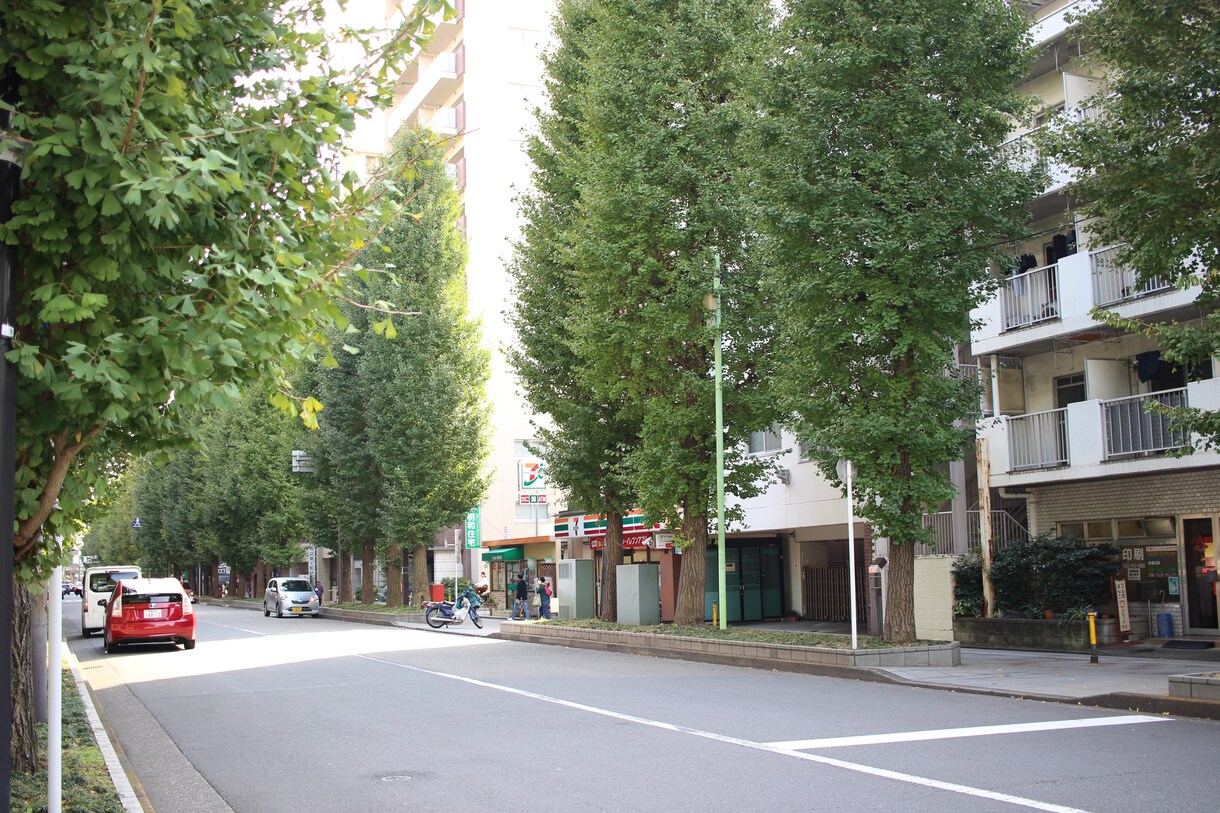写真撮影：思い出の地の写真を撮ってきます 昔大学時代やサラリーマン時代に住んでいた町の記録を残します。 イメージ9