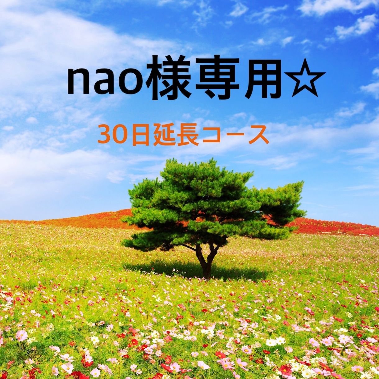 nao様専用☆30日延長します お友達感覚で話しましょう☆nao様専用