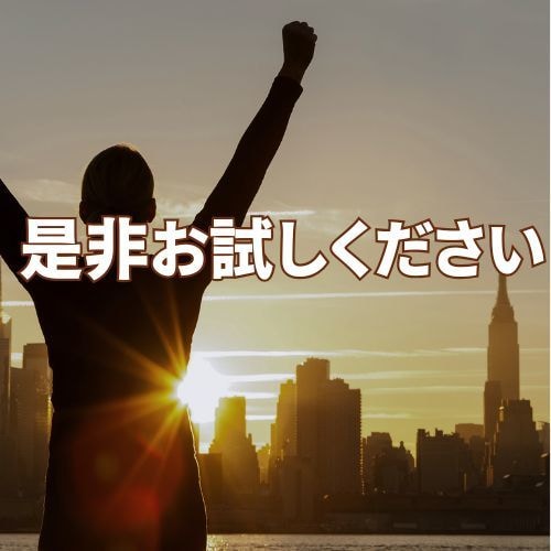 ココナラ売れない!をプラチナ獲った私が解決します 稼げる26の戦略|ココナラのコンサルやアドバイスも相談可 イメージ10