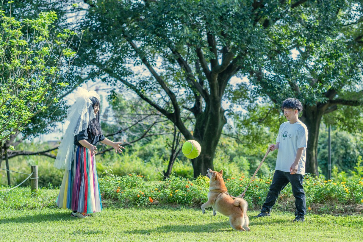 犬・猫・ペットの自然な写真を撮影します ペットと家族が過ごす時間をプロクオリティで残しませんか？ イメージ5