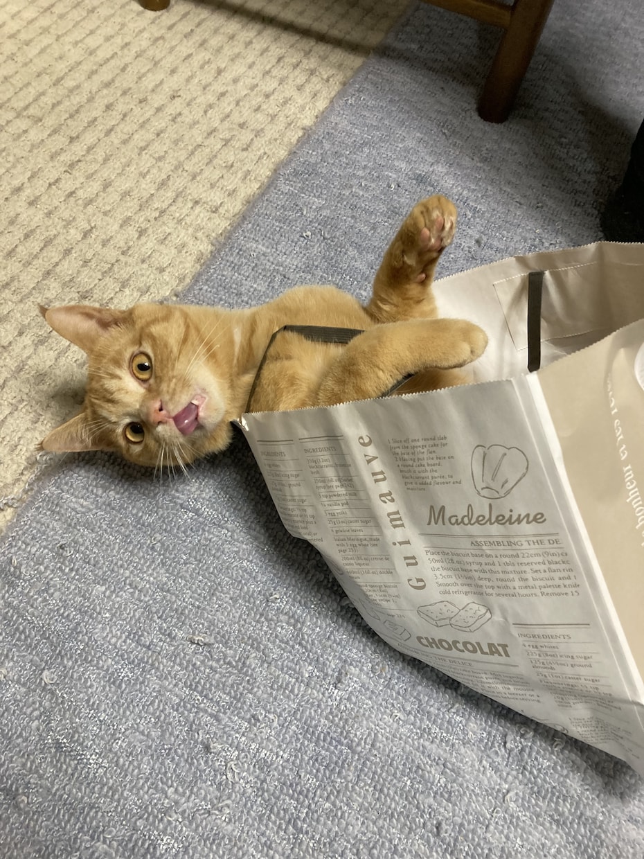 あなたの恋のお悩みを癒します ネガティブな感情にさよならしよう！ イメージ1