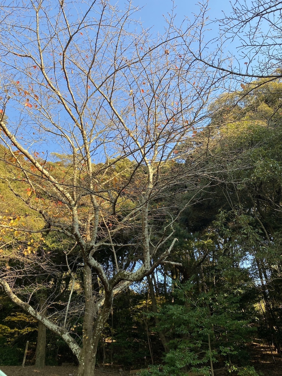 気持ちを伝える難しさを聞きます 恋愛・家族・友人に思いを伝えられないしんどさ吐いてください イメージ4