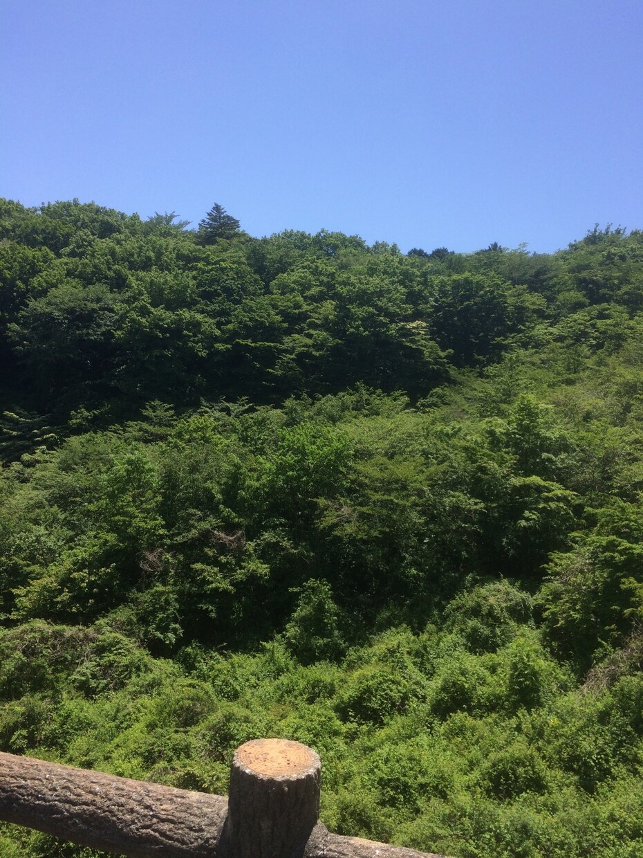 手相と数秘術からあなたの全てをみます 手相✖️数秘術でより深く追求していきます。 イメージ4