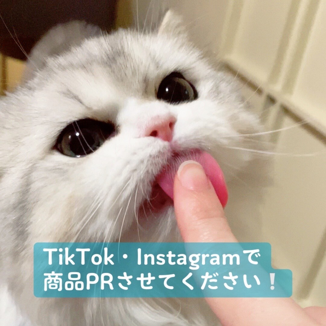 猫のInstagramでかわいくPRいたします フォロワー1000人超アカウントで御社の商品をPRします！ イメージ1