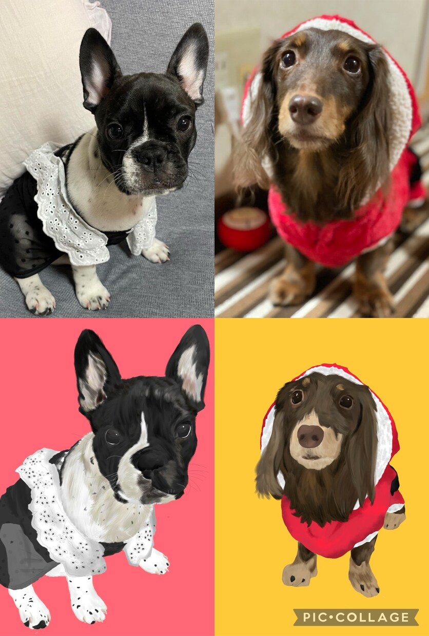 ペットの似顔絵描かせていただきます 現在3名限定価格になります！よろしくお願いします。 イメージ2