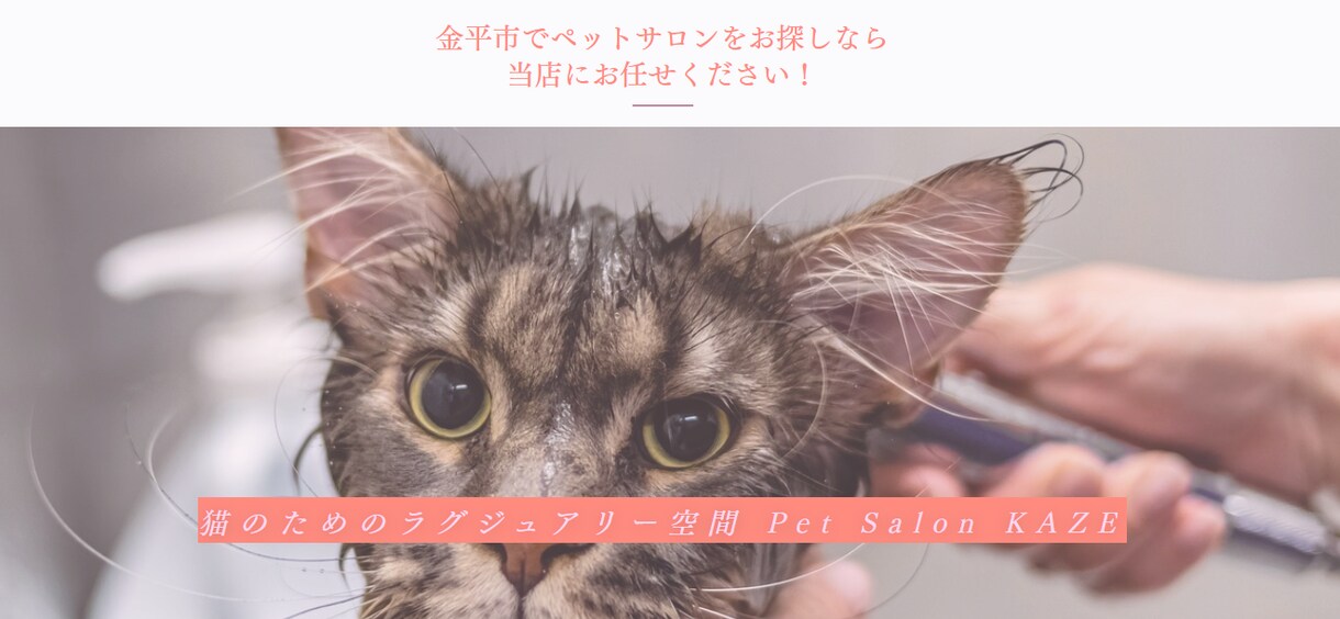 低価格で見やすくお洒落なLP制作をいたします ペライチを使用したLP作成・文章の作成も可能！ イメージ3
