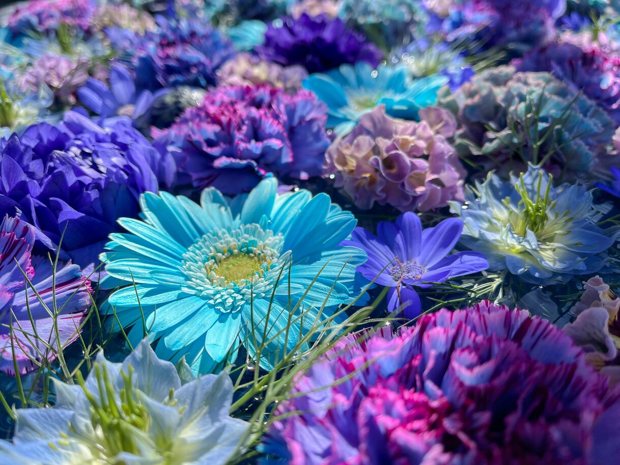 お花・植物・自然の写真提供します 色鮮やかなお写真多めに提供します イメージ2