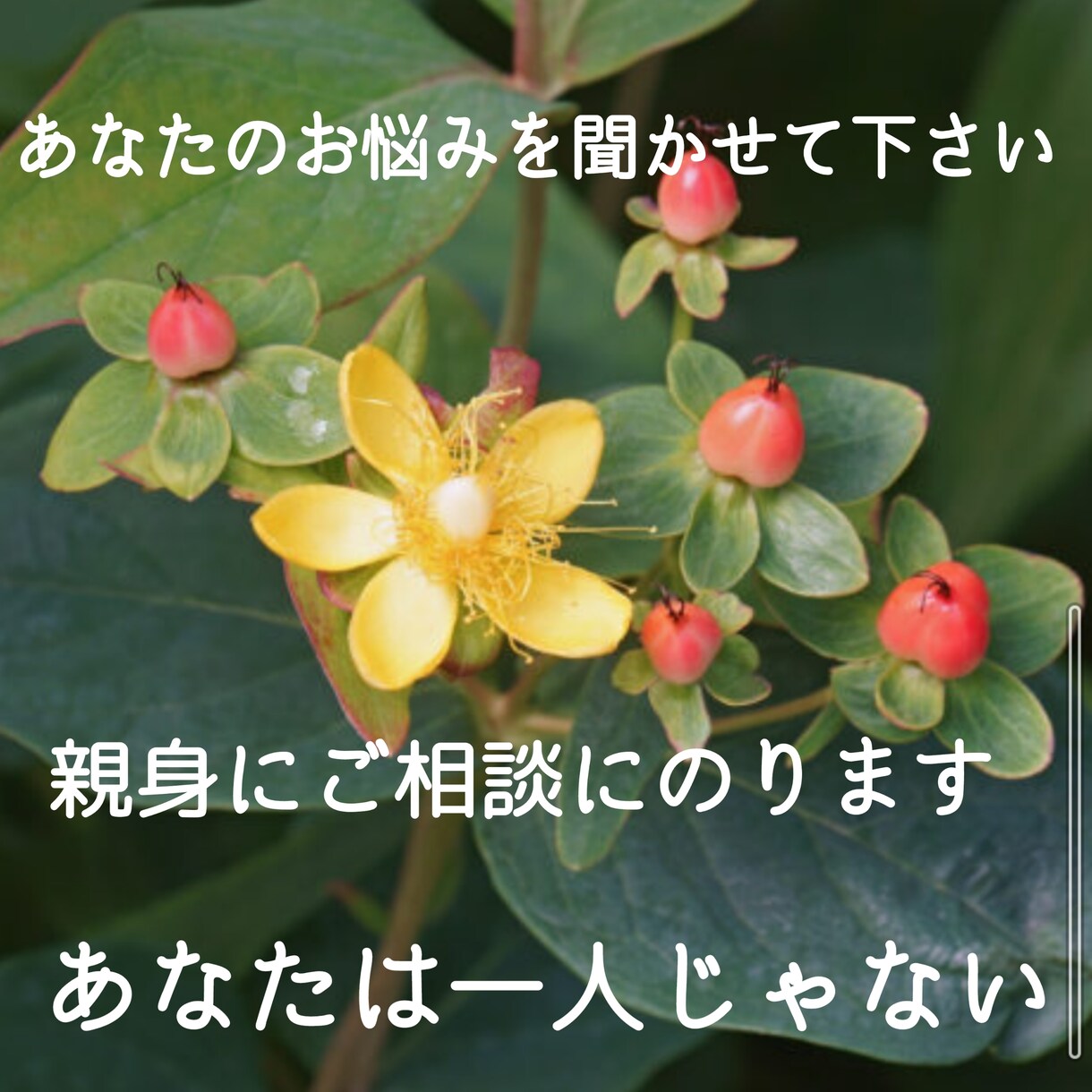 大切なあなたの心を軽くするお手伝いをします ヒーリングサロンでカウンセリングをしてきた私とお話しましょう イメージ1