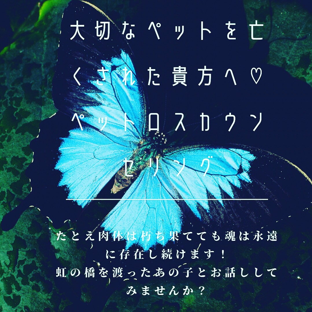 虹の橋を渡った最愛のペットと貴方をお繋ぎします たとえ肉体は朽ちても魂は貴方の元に永遠に存在し続けます！ イメージ2