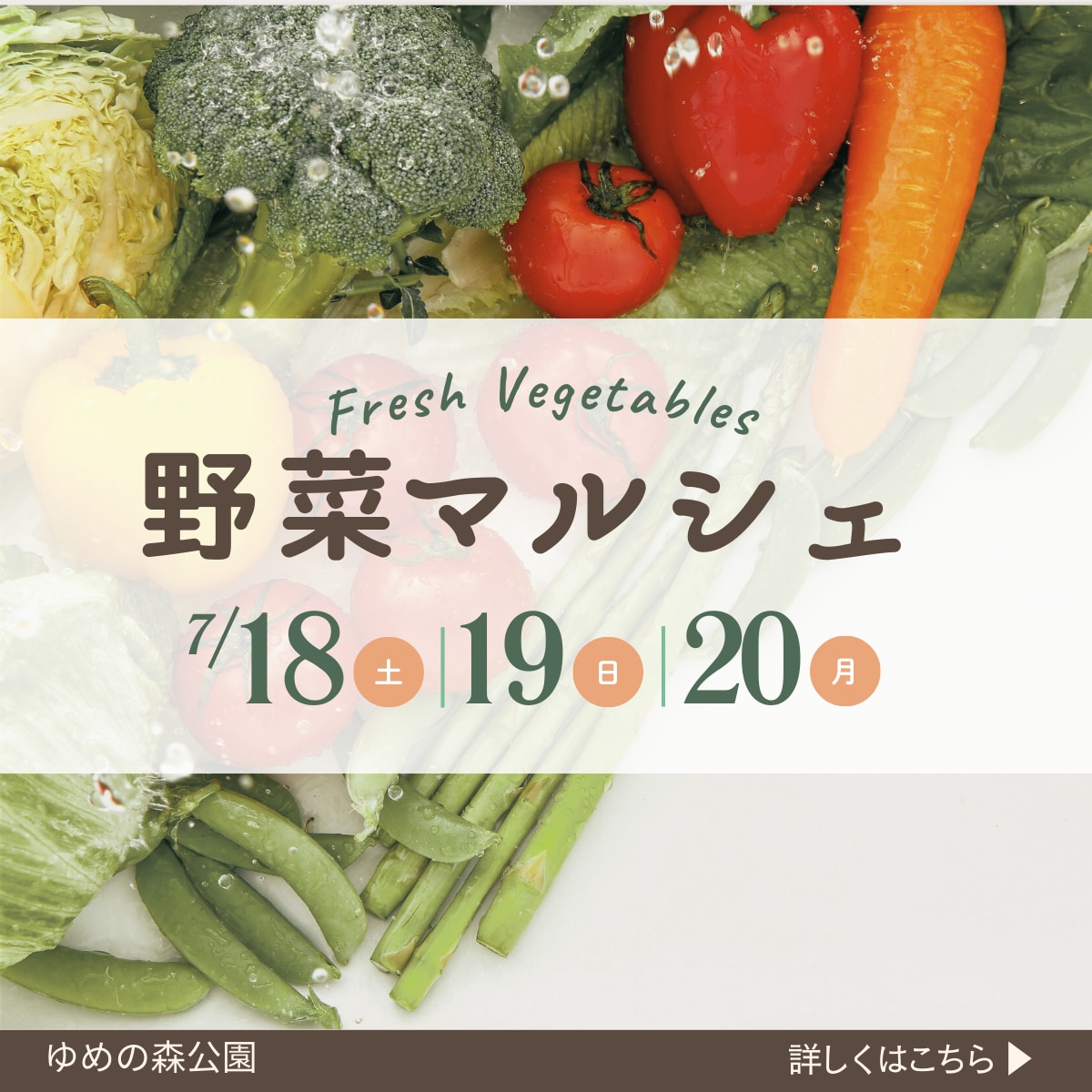 魅せる・伝わる・目に留まるバナーお作りします 丁寧なヒアリングで、初めての方も安心してご依頼いただけます。 イメージ7