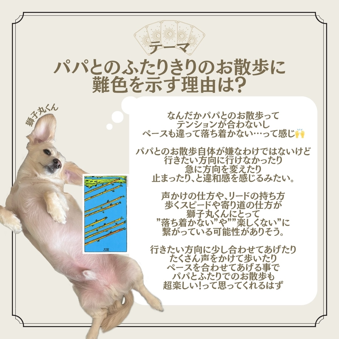 1枚引きで大切な家族の気持ちを占います タロットカード：ペットちゃんの気持ち占い イメージ6