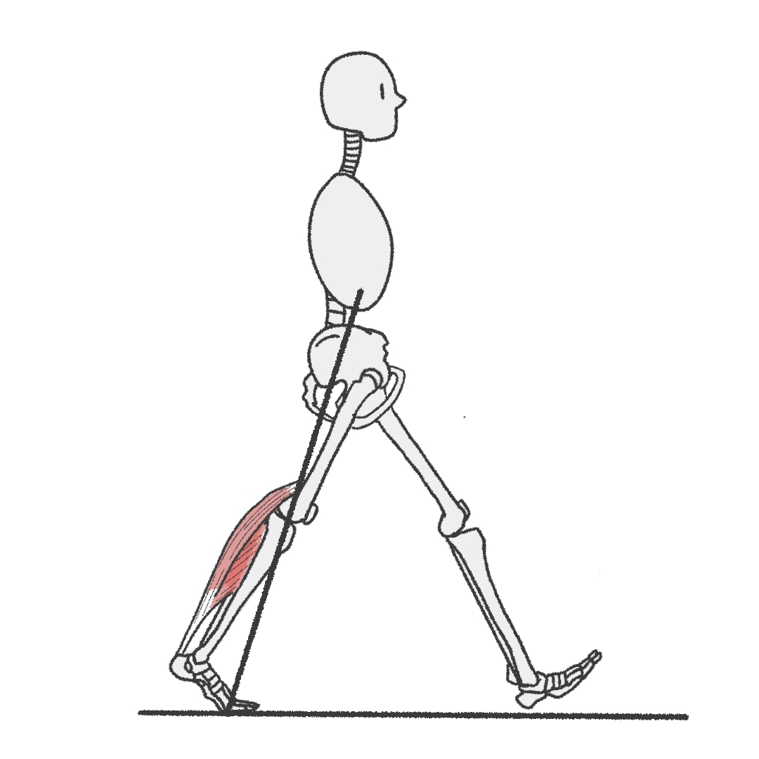 医療系イラスト描きます 薬剤師がシンプルでわかりやすいイラストを描きます。 イメージ1