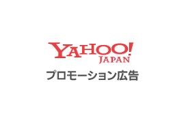 個人事業主や企業のための広告アカウント設計をします 広告アカウントの初期設定から実際に広告配信するまでサポート イメージ2