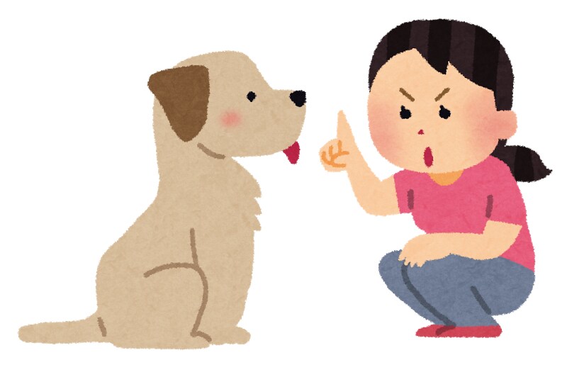 ドッグトレーナーが教えます 愛犬のしつけや問題行動にお困りの方♩ イメージ1
