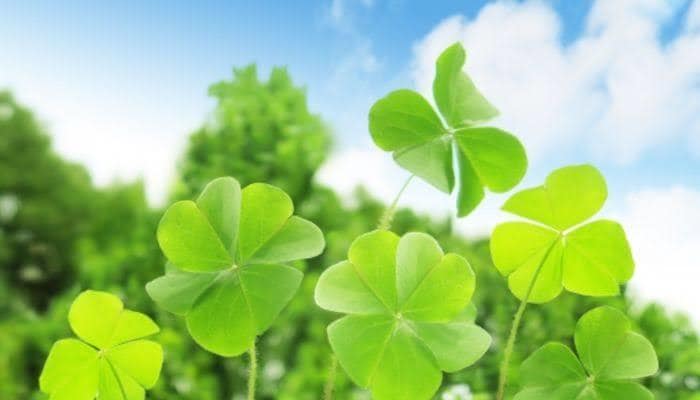 心身を浄化し自己効力感を上げるヒーリングをします 自信UP☆*。マインドブロックを外し「私は出来る」に変える！ イメージ3