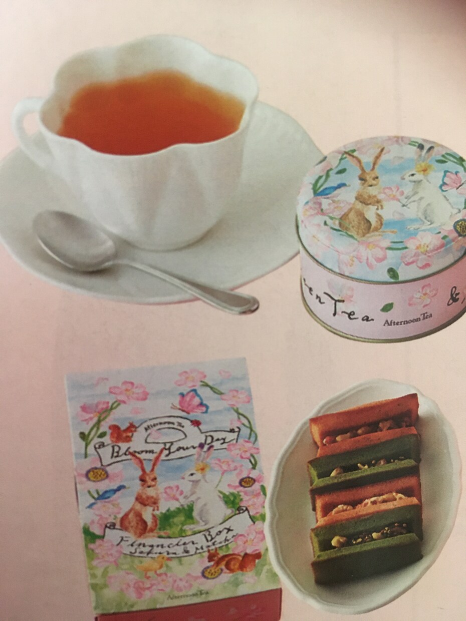 優しく丁寧にLINE通話、カフェレッスン提供します 英語を話す時間を一緒にたくさん作りましょう。 イメージ4