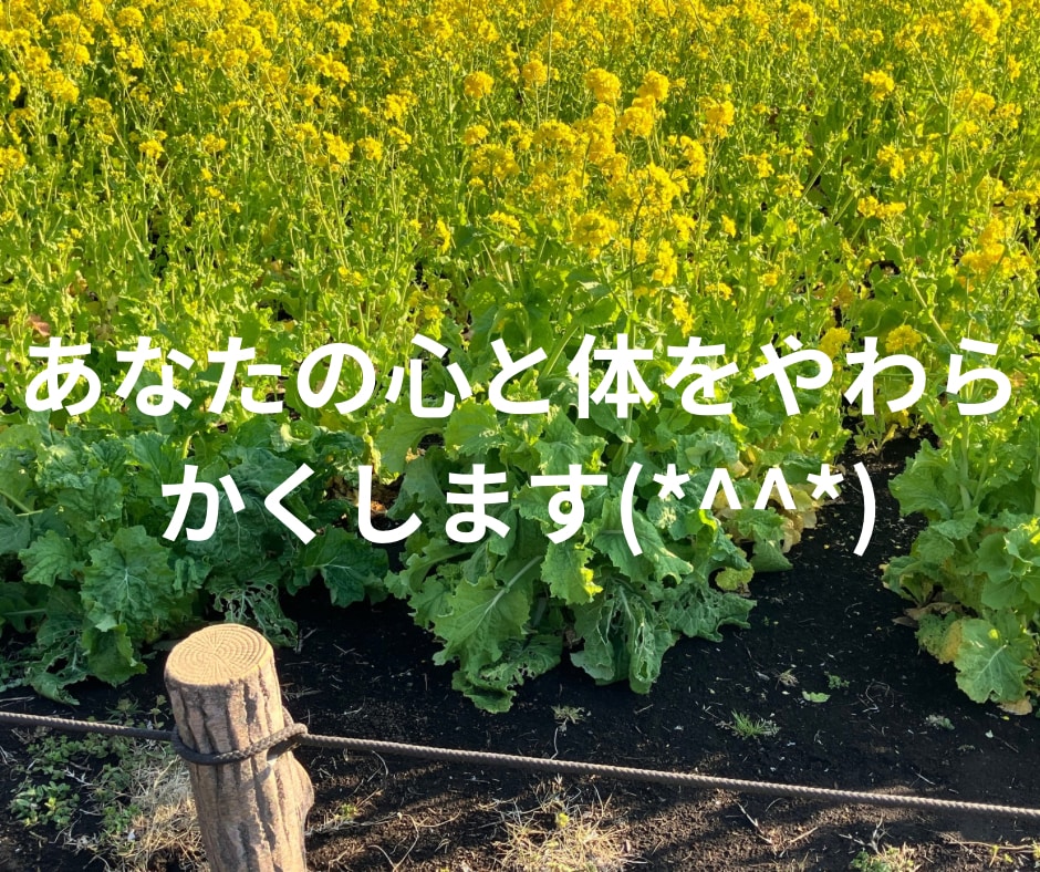 1分からOK！気分変調性障害当事者が寄り添います 症状/うつ病との違い/双極性障害との違い/悩み/不安 イメージ2