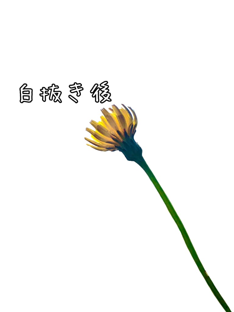 白抜き加工や合成加工を致します どんな画像も素早く白抜きや合成加工致します！ イメージ2