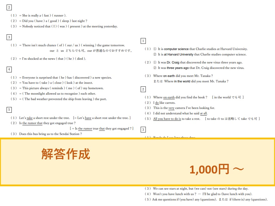 解答や日本語訳がない！英語の問題をお助けします 予備校講師歴12年！指導者向け解説メモや商用配布用もお任せ！ イメージ7