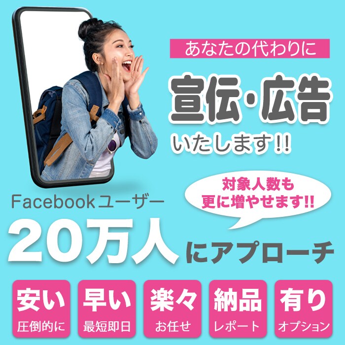 20万人の Facebook ユーザーへ広告します 【広報・リリース】SNSプロモーションを効率良く行いたい方へ イメージ1