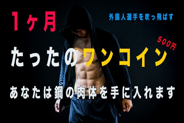 1ヶ月【500円】でプロになる為の基礎を作ります 【海外で通用する鋼のボディー】／体幹トレーニングを徹底指導！ イメージ1