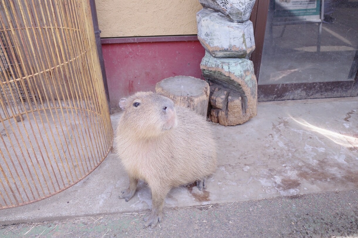 どんな話も受け止めます あなたに寄り添い、受け止めます何でもどうぞ♡ イメージ3